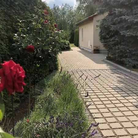 Holiday home Zur Blautanne *