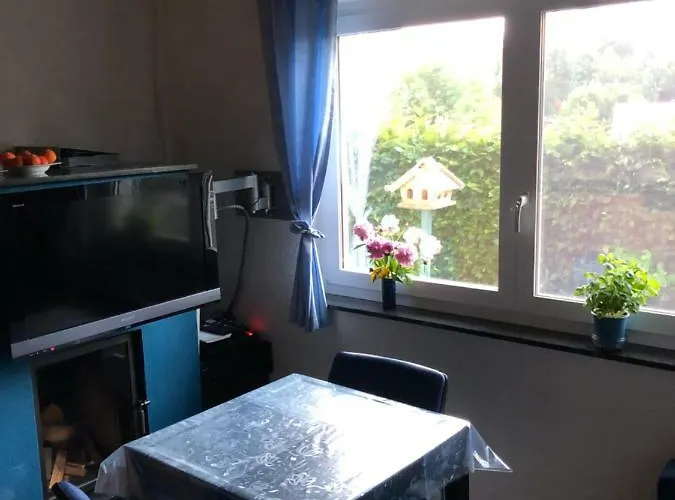 Zur Blautanne Holiday home *