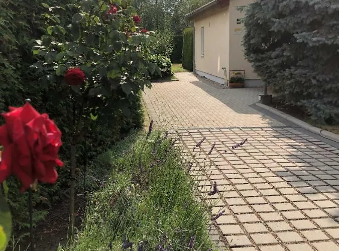 Holiday home Zur Blautanne *